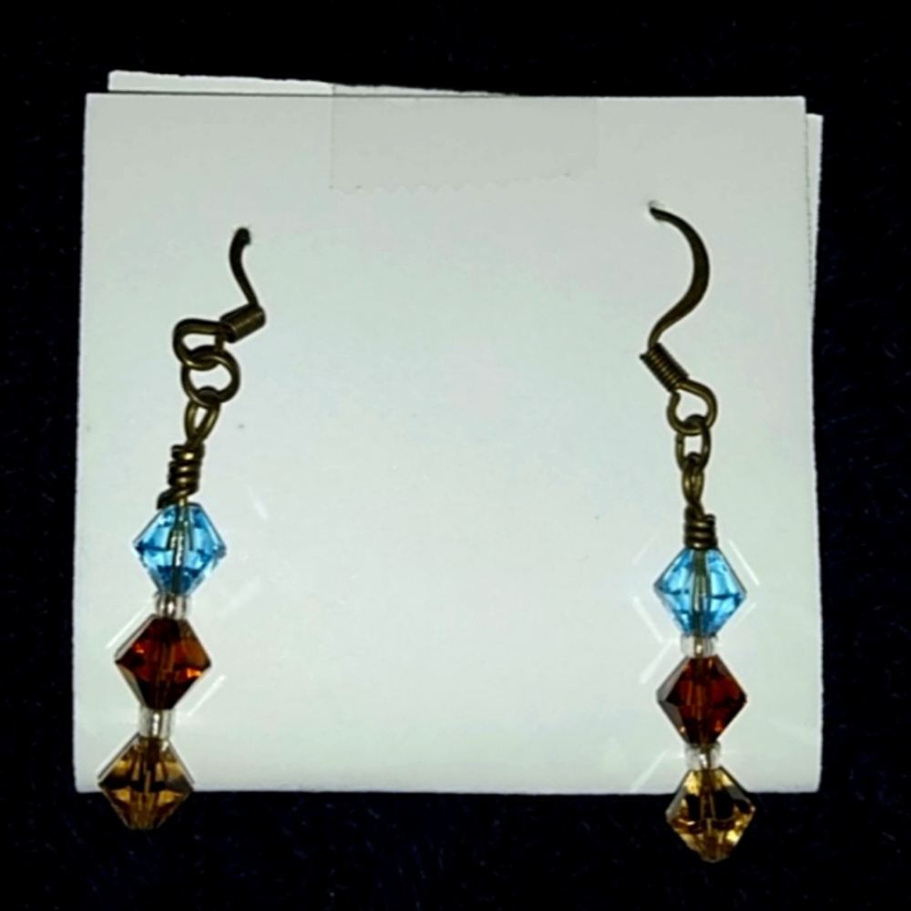 Blue & Brown Earrings